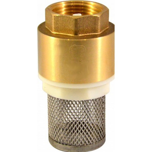 Клапан обратный STM CBCVF001 1",    с пластиковым сердечником, с сеткой